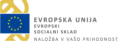image Evropski socialni sklad Logo